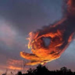 Meet your Posher, Logan